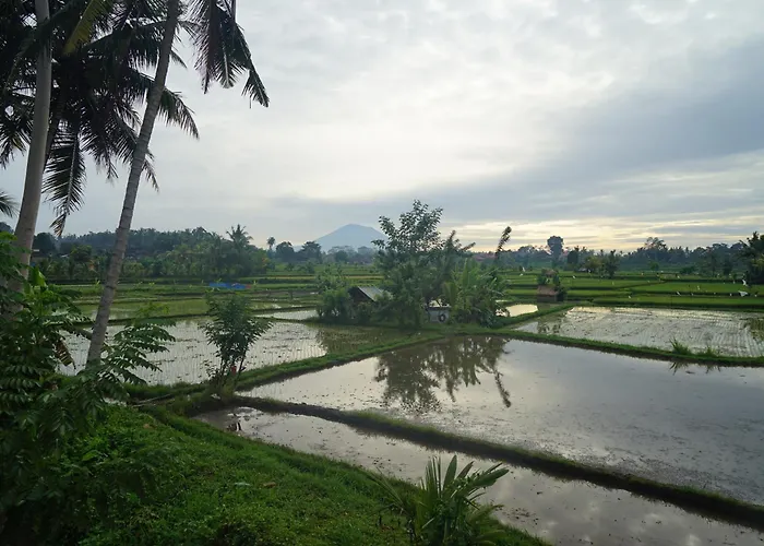 Santun Luxury Private Villas