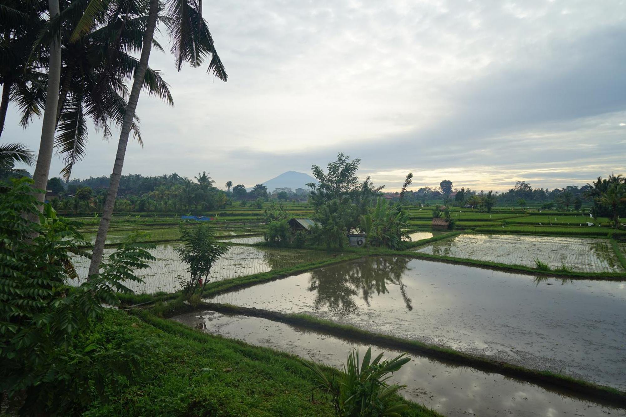 Santun Luxury Private Villa